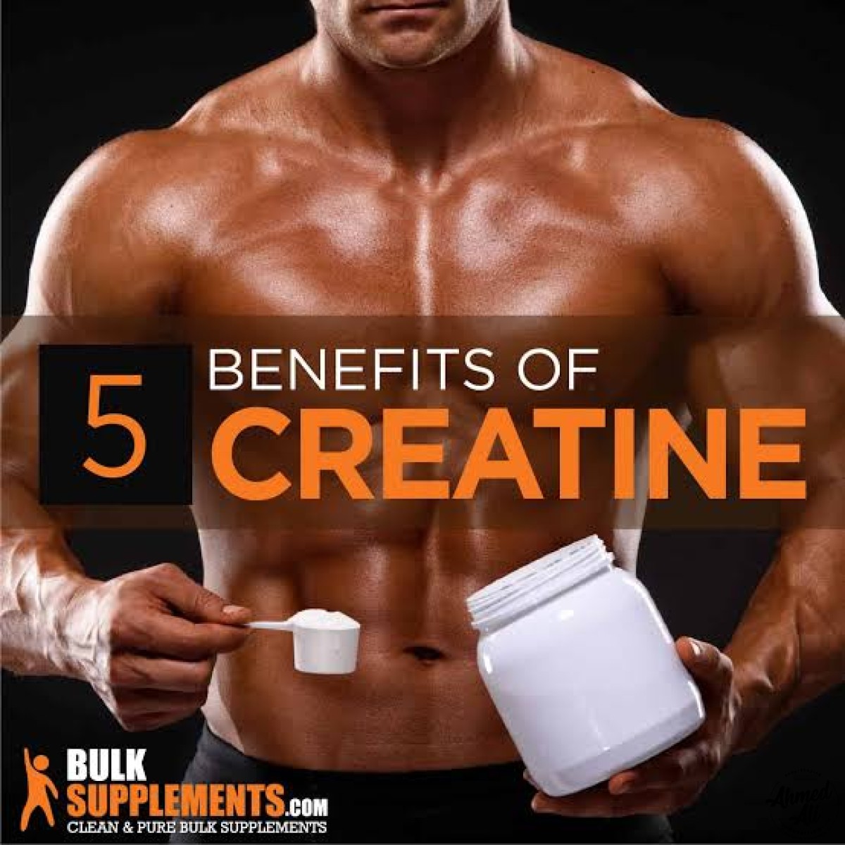 Whey Protein